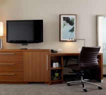 Hyatt Place Chicago-South/UCM Room