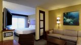 <b>Hyatt Place Dallas/Las Colinas Room</b>. Images powered by <a href="https://iceportal.shijigroup.com/" title="IcePortal" target="_blank">IcePortal</a>.