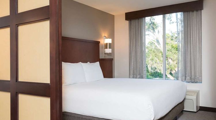 Hyatt Place Sarasota Bradenton Airport Room