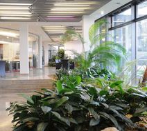 Favorite Parkhotel Lobby