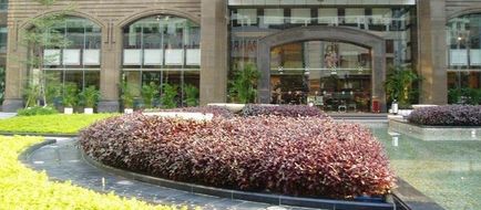 Grand International Exterior