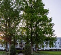 The Madison Hotel Exterior
