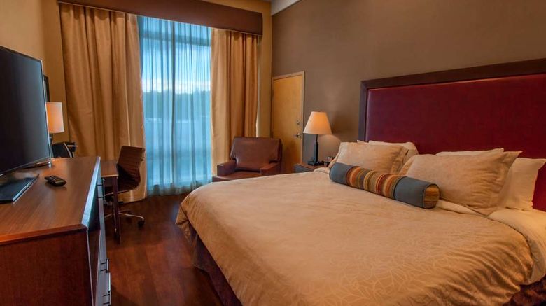<b>Hotel Ithaca Room</b>. Images powered by <a href="https://iceportal.shijigroup.com/" title="IcePortal" target="_blank">IcePortal</a>.