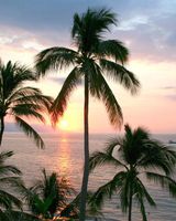Playa Los Arcos Hotel Beach Resort & Spa