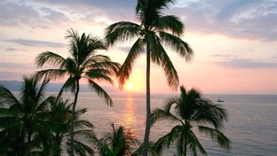 Playa Los Arcos Hotel Beach Resort & Spa