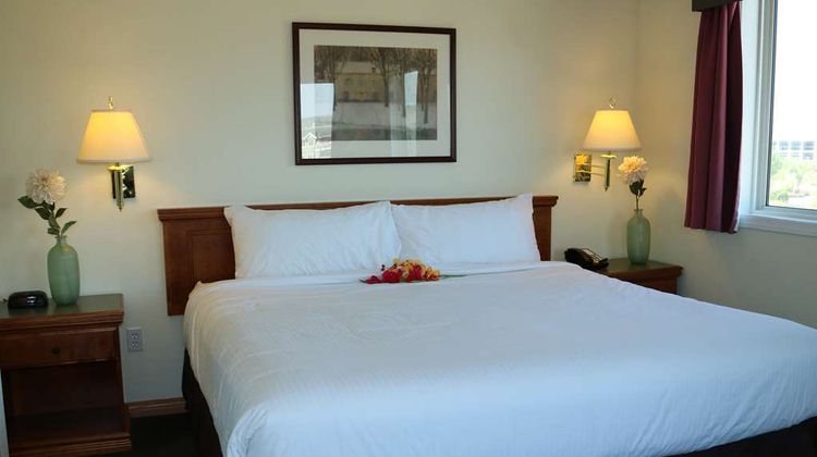 Nomad Hotel & Suites Suite