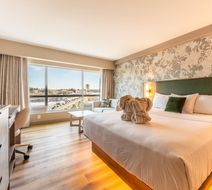 Park Town Hotel Room