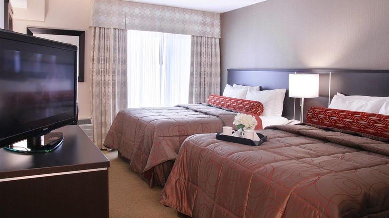 <b>Admiral Inn Room</b>. Images powered by <a href="https://iceportal.shijigroup.com/" title="IcePortal" target="_blank">IcePortal</a>.
