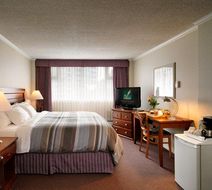 Chateau Victoria Hotel & Suites Room