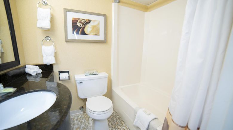 <b>The Oceanfront Inn Room</b>. Images powered by <a href="https://iceportal.shijigroup.com/" title="IcePortal" target="_blank">IcePortal</a>.