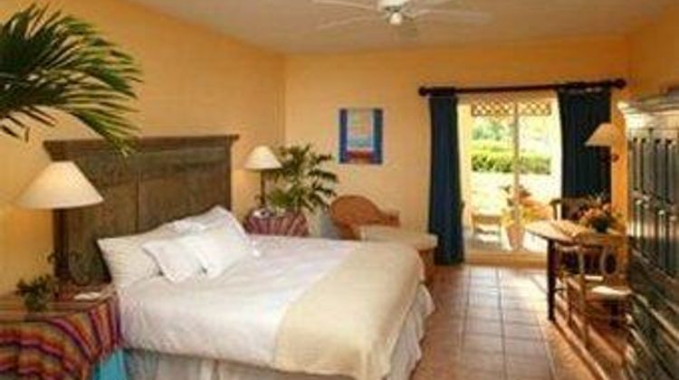 Pelican Bay at Lucaya Room