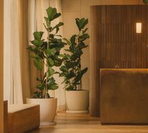 Hotel Regina Lobby