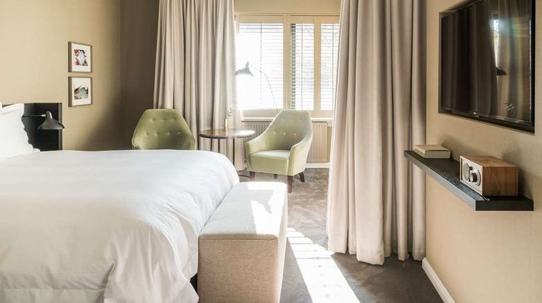 <b>Pillows Grand Hotel Ter Borch Room</b>. Images powered by <a href="https://iceportal.shijigroup.com/" title="IcePortal" target="_blank">IcePortal</a>.