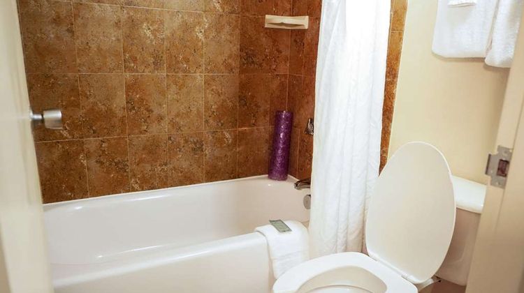 Rosen Inn Room