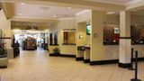 <b>Rosen Inn at Pointe Orlando Lobby</b>. Images powered by <a href="https://iceportal.shijigroup.com/" title="IcePortal" target="_blank">IcePortal</a>.
