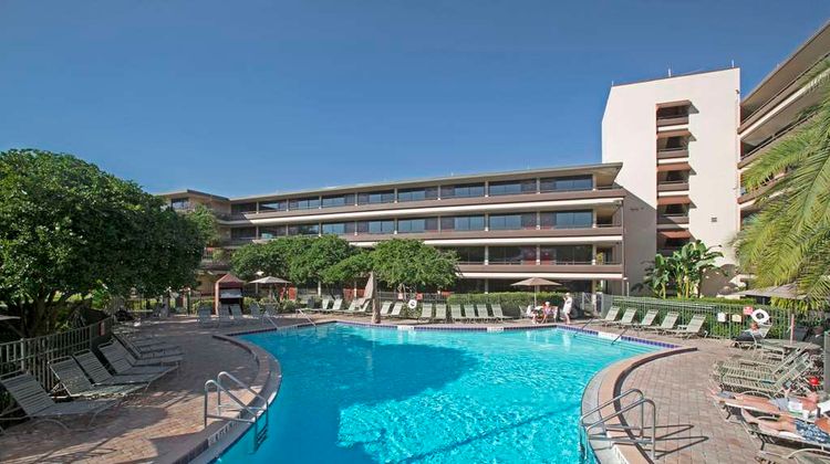 Rosen Inn at Pointe Orlando Pool