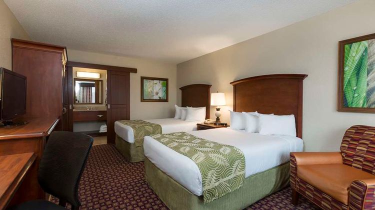 Rosen Inn at Pointe Orlando Room
