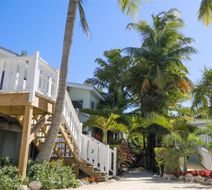 Coconut Palm Inn Exterior