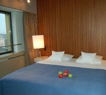Hotel Yasmin Room