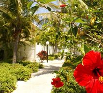 Barefoot Beach Resort Exterior