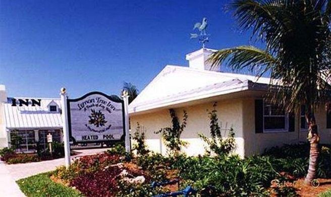 The Lemon Tree Inn Exterior