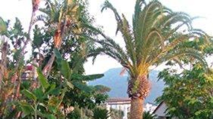 Villa Ketty Resort Pool