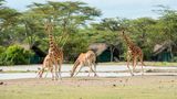 Sweetwaters Tented Camp Recreation