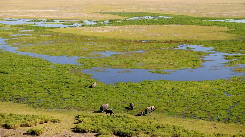 <b>Amboseli Serena Safari Lodge Recreation</b>. Images powered by <a href="https://iceportal.shijigroup.com/" title="IcePortal" target="_blank">IcePortal</a>.