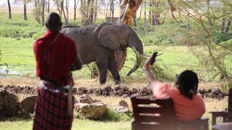 <b>Amboseli Serena Safari Lodge Recreation</b>. Images powered by <a href="https://iceportal.shijigroup.com/" title="IcePortal" target="_blank">IcePortal</a>.