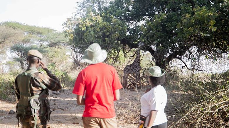 <b>Kilaguni Serena Safari Lodge Recreation</b>. Images powered by <a href="https://iceportal.shijigroup.com/" title="IcePortal" target="_blank">IcePortal</a>.