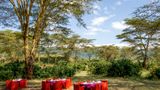 Ngorongoro Serena Safari Lodge Restaurant