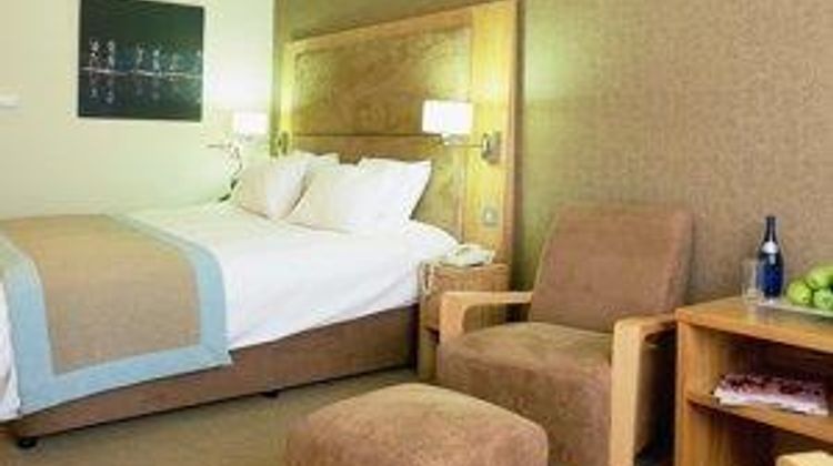 Big Blue Hotel Room