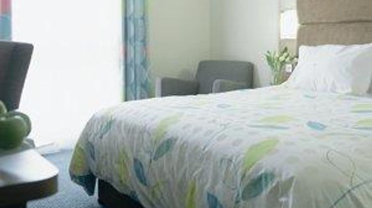 Big Blue Hotel Room