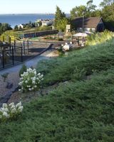 Edgewater Hotel & Waterpark