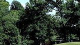 The Lodge of Four Seasons Golf