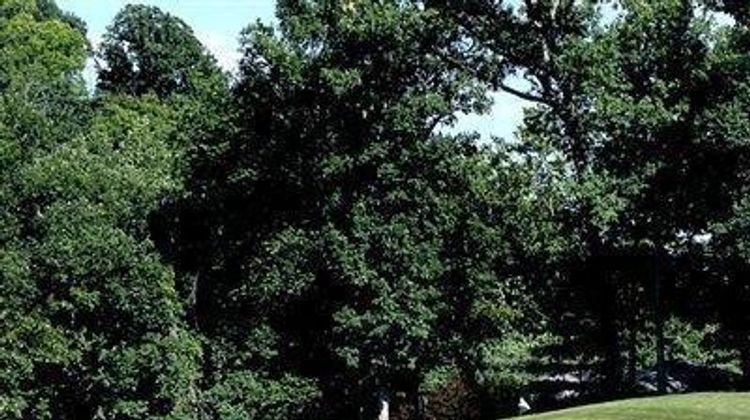 The Lodge of Four Seasons Golf