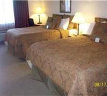Single Tree Inn Room
