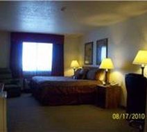 Single Tree Inn Room