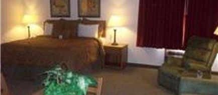 Single Tree Inn Room