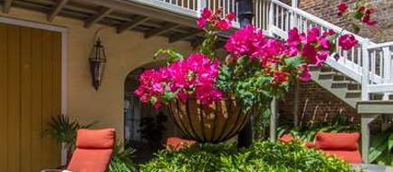 Dauphine Orleans Hotel Exterior