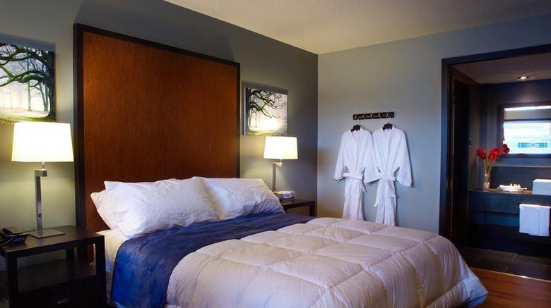 <b>Centro Motel Room</b>. Images powered by <a href="https://iceportal.shijigroup.com/" title="IcePortal" target="_blank">IcePortal</a>.