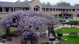Vineyard Court Designer Suites Hotel Lobby