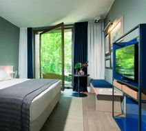 Parc Hotel Billia Room