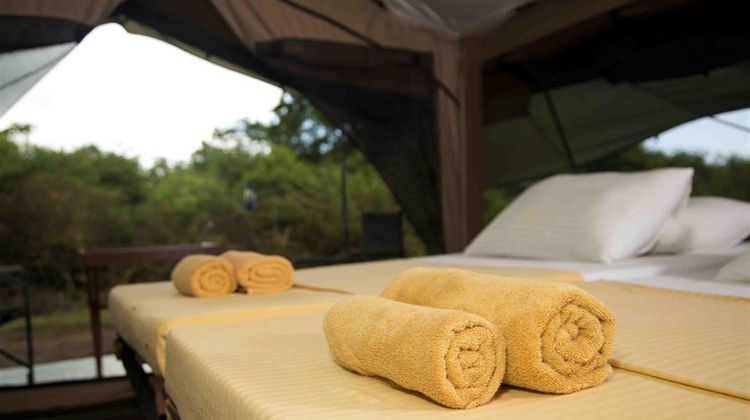Wild Trails by Amaya Room