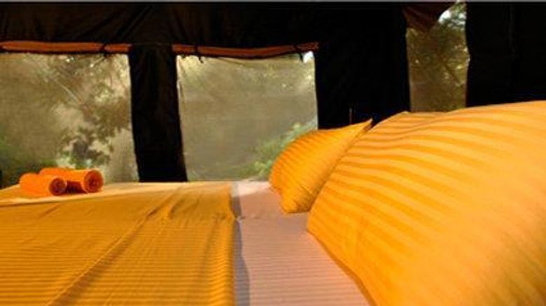 <b>Wild Trails by Amaya Room</b>. Images powered by <a href="https://iceportal.shijigroup.com/" title="IcePortal" target="_blank">IcePortal</a>.