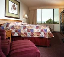Grand Vista Hotel Room