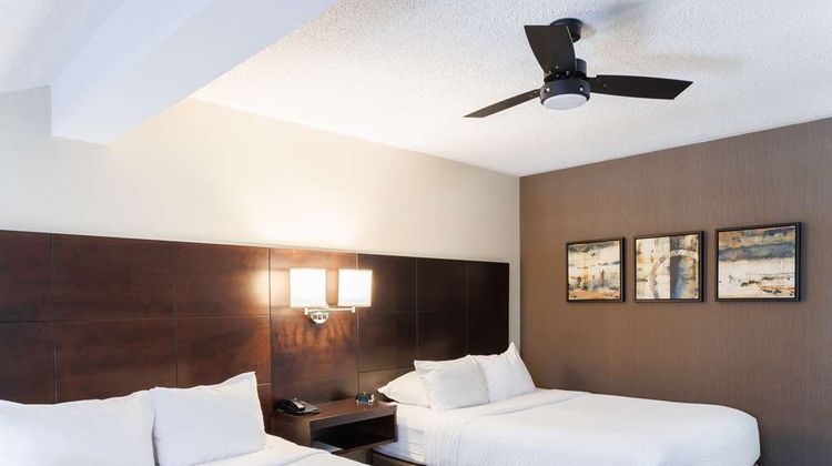 Rodd Royalty Inn & Suites Suite