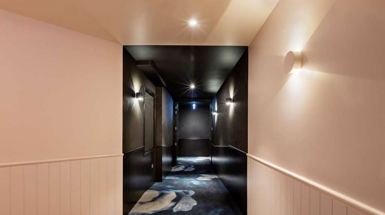 <b>Fable Dunedin Other</b>. Images powered by <a href="https://iceportal.shijigroup.com/" title="IcePortal" target="_blank">IcePortal</a>.