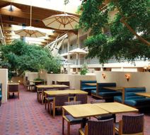 Grand Canyon Plaza Hotel Lobby
