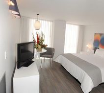 El Ejecutivo Hotel Room